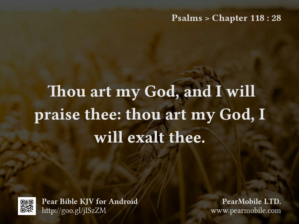 Psalms, Chapter 118:28